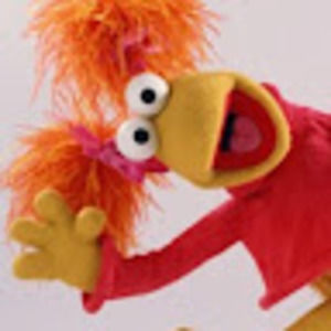 Meet your Posher, Paula